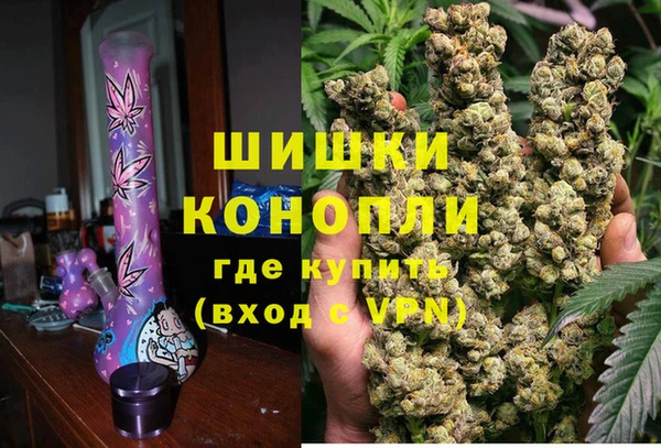 ГАЛЛЮЦИНОГЕННЫЕ ГРИБЫ Балахна