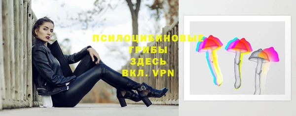 тгк Белокуриха